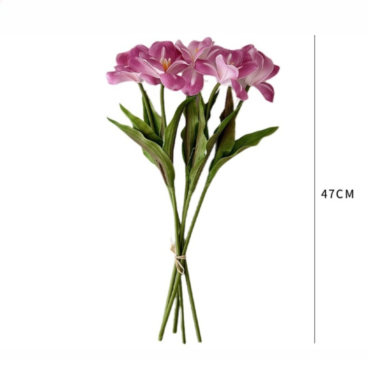 18.5 Inches Single Stem Open T - огляд і ціна Photography Hotel