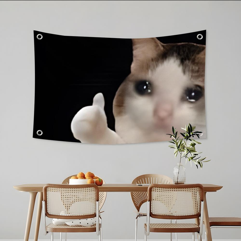 Interesting Cat Photography Fl - огляд і ціна Photography Interest
