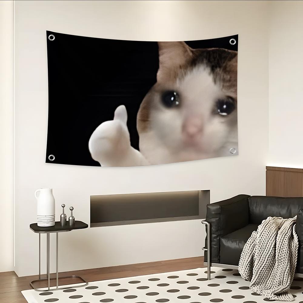 Interesting Cat Photography Fl - огляд і ціна Photography Interest