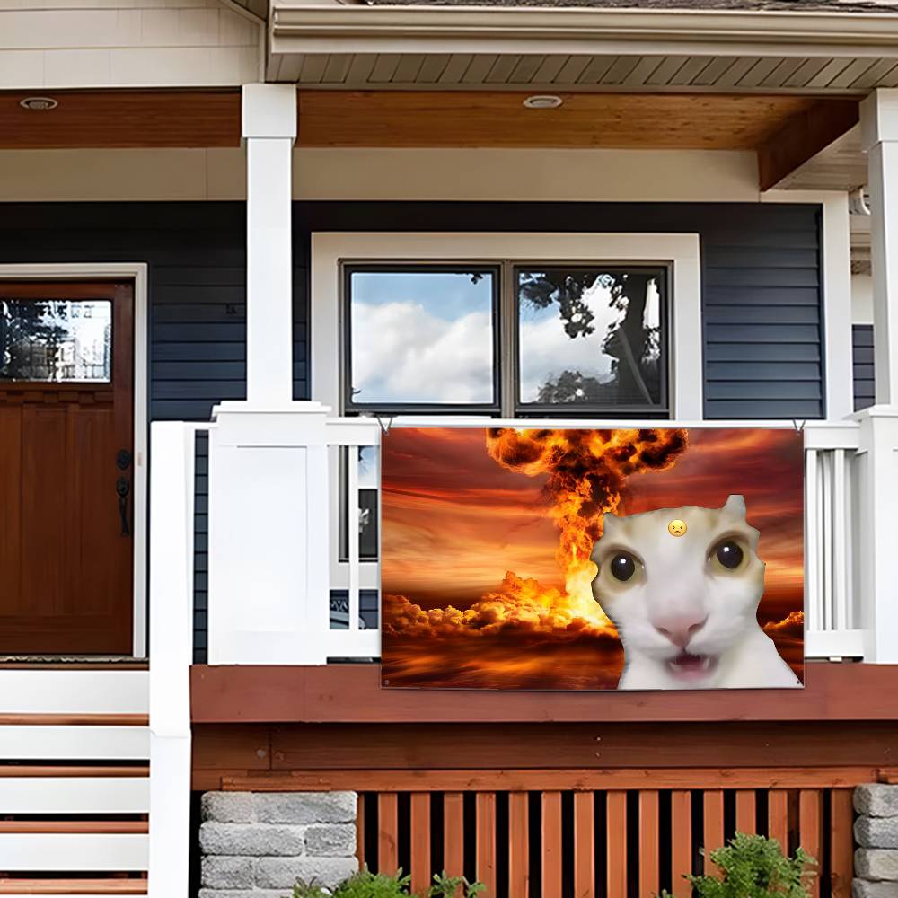 Interesting cat photography Fl - огляд і ціна Photography Interest