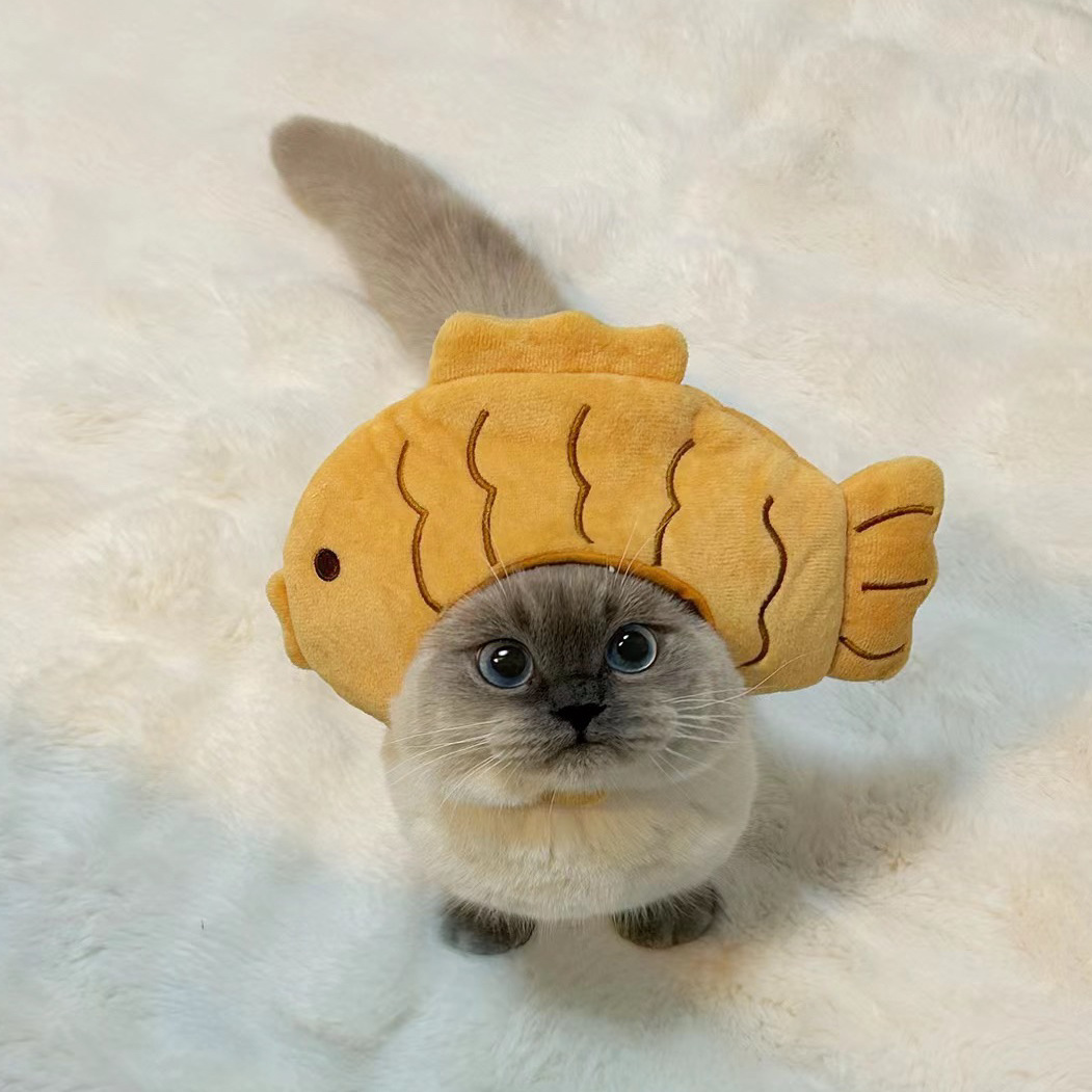 1pcs Interesting pet headwear  - огляд і ціна Photography Interest