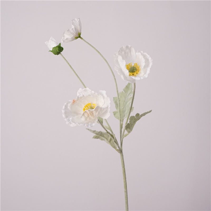 25.2 Inch Single Stem High Qua - огляд і ціна Photography Hotel